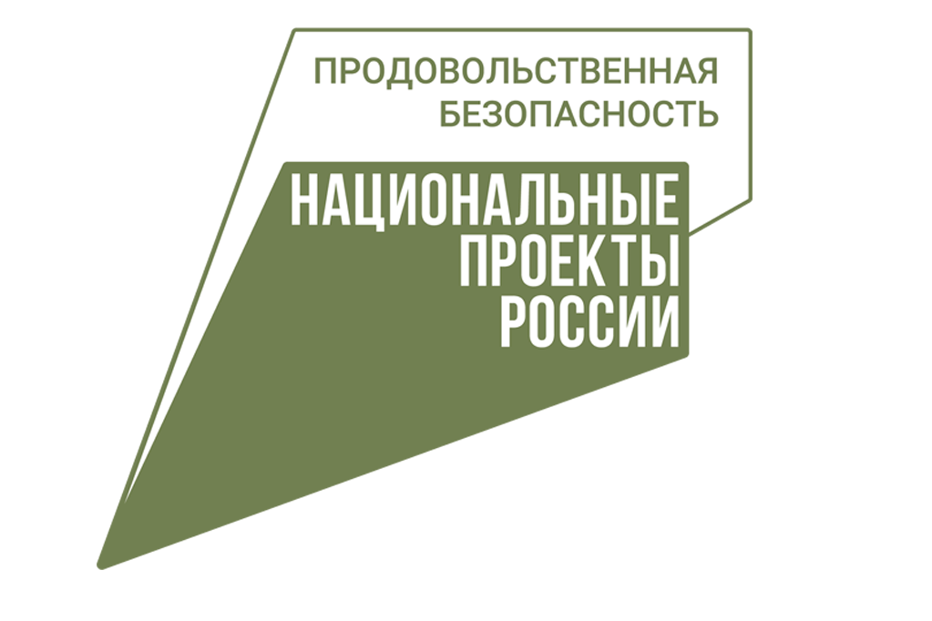 Национальный проект "Малое и среднее предпринимательство"" Национальный проект "Малое и среднее предпринимательство"".